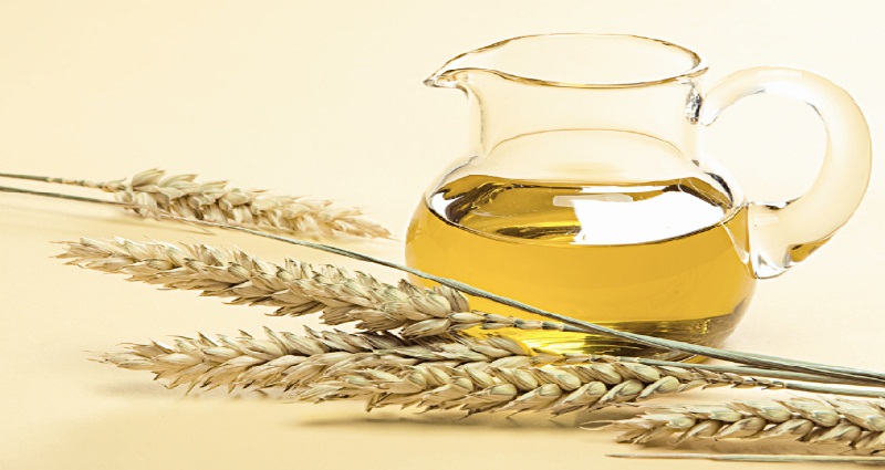 wheat germ to lose weight