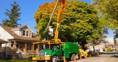 equipment for tree removal